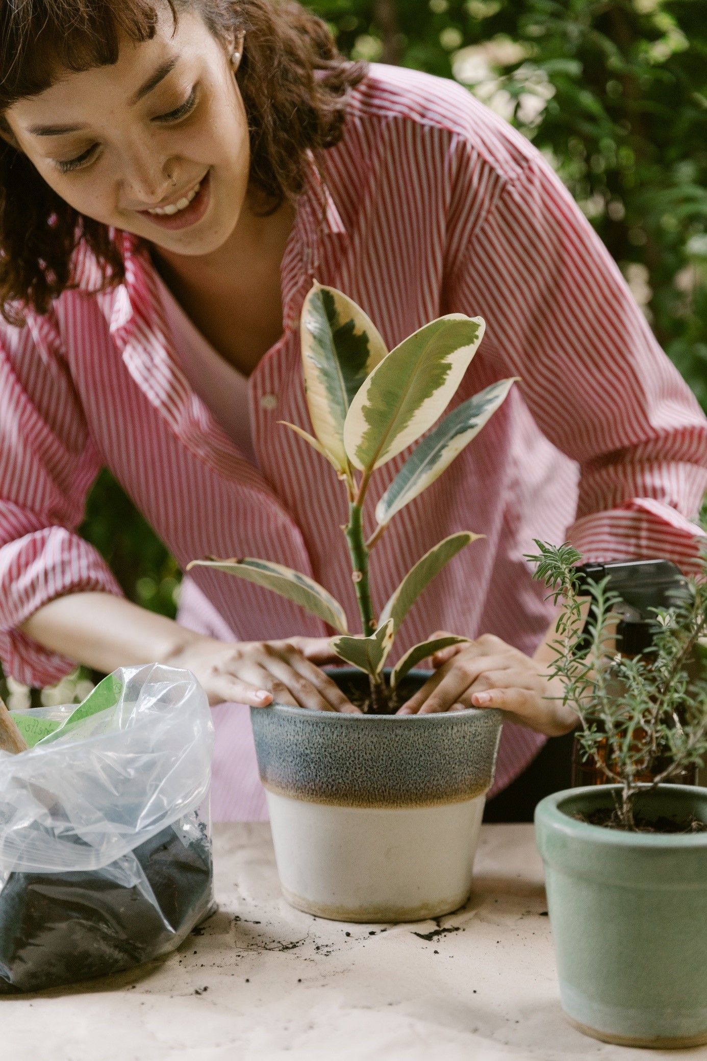 Benefits of Having Plants in Your Home